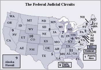 CIRCUITO JUDICIAL 
